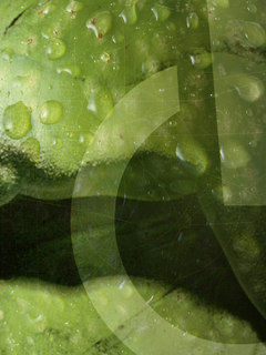 Other Wallpapers 0811